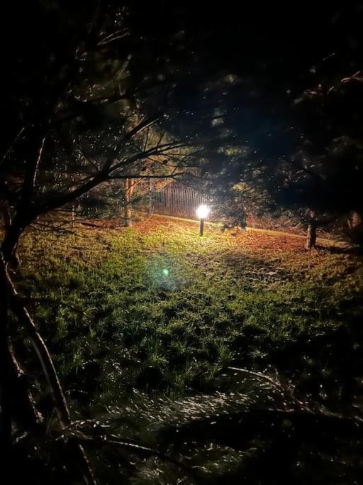 Dom Male Mazury Villa Drozdowo Exteriör bild