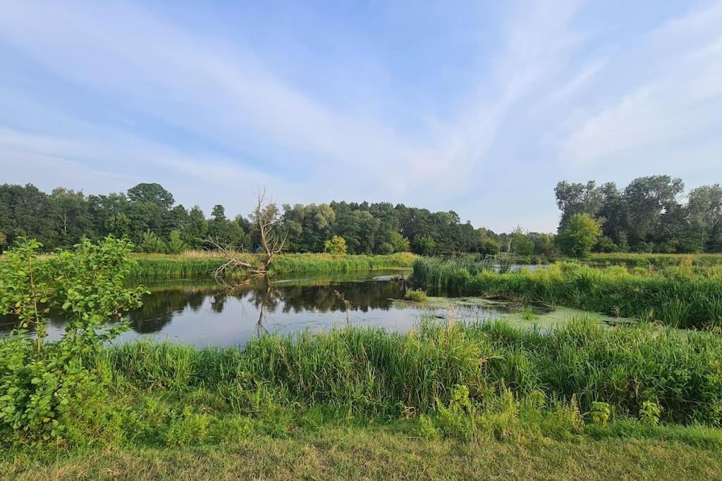 Dom Male Mazury Villa Drozdowo Exteriör bild